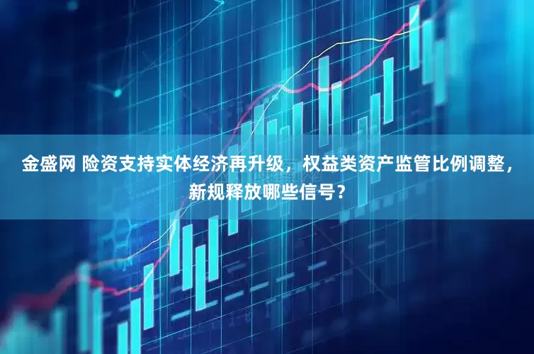 金盛网 险资支持实体经济再升级，权益类资产监管比例调整，新规释放哪些信号？