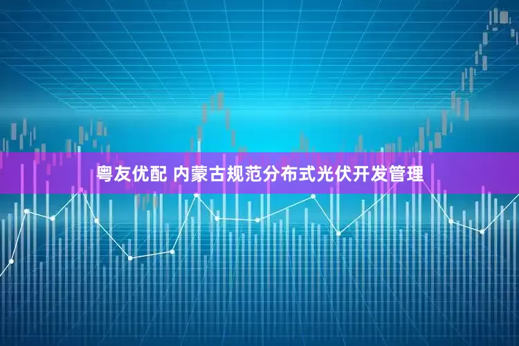 粤友优配 内蒙古规范分布式光伏开发管理