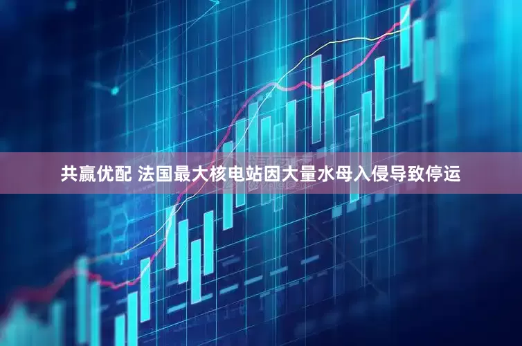 共赢优配 法国最大核电站因大量水母入侵导致停运