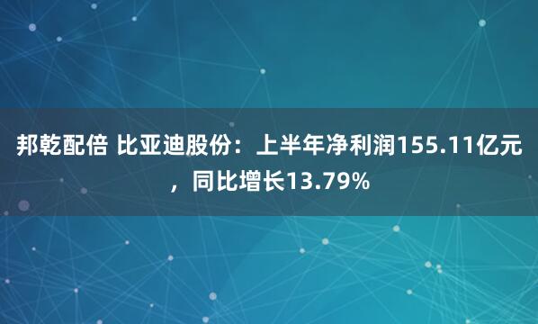 邦乾配倍 比亚迪股份：上半年净利润155.11亿元，同比增长13.79%