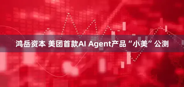 鸿岳资本 美团首款AI Agent产品“小美”公测